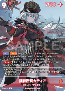 ニベルアリーナ NivelArena