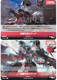 ニベルアリーナ NivelArena