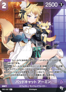 ニベルアリーナ NivelArena
